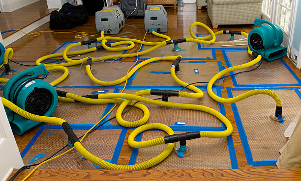 Professional Water Damage Repair technician working in Yukon, OK